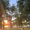 hannahmaney801